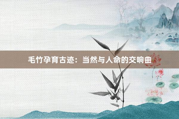 毛竹孕育古迹：当然与人命的交响曲