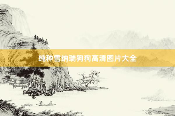 纯种雪纳瑞狗狗高清图片大全