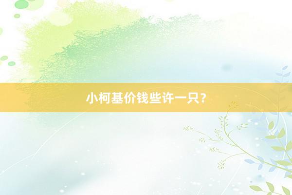 小柯基价钱些许一只？